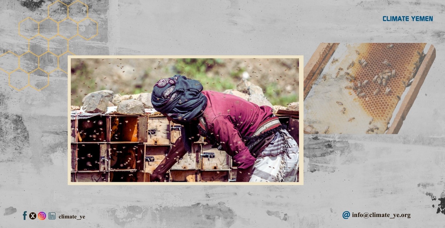 تربية النحل في اليمن
